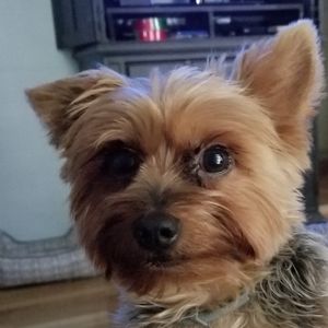 Meet your Posher, Judy